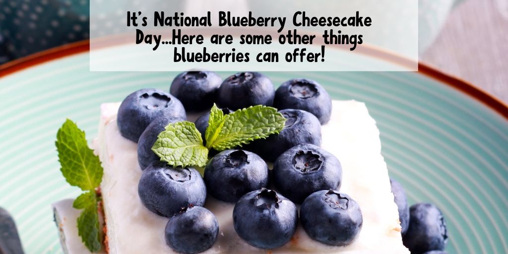 Title of the post in black with a white background. Image of a blueberry cheesecake square with fresh berries and mint on top sitting on a blue plate in the background. 