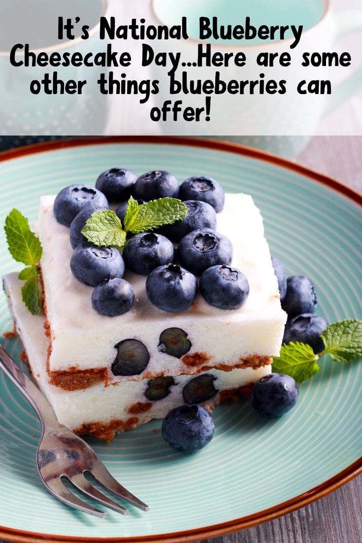 Pin image of a blueberry cheesecake square with fresh mint on top and the title of the post on the top of the image in black and white. 