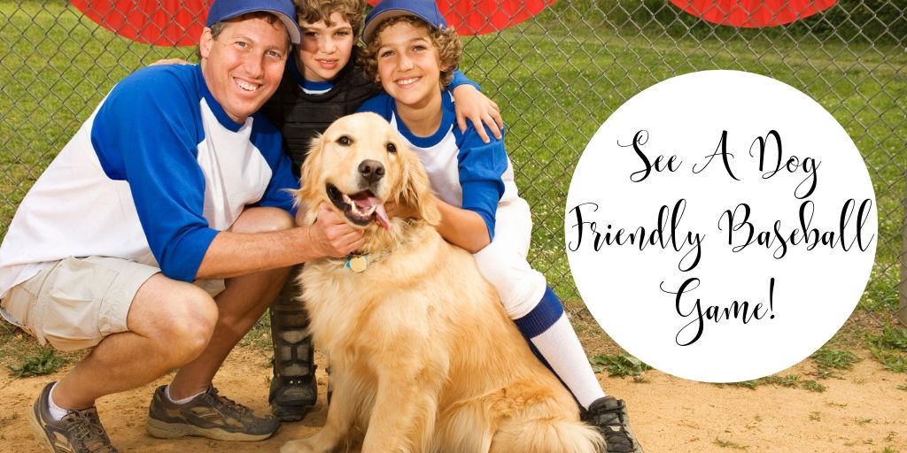 See A Dog-Friendly Baseball Game! The Houston Astros host one dog day every year, where furry companions are invited to Minute Maid Park for a game. Check the team’s website to see when the next dog day is, and get your tickets early, because they might sell out.