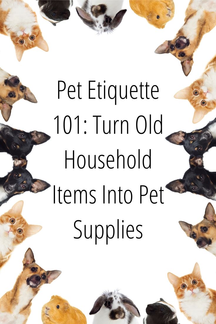 Today we're talking about pets! Living in an apartment with pets can be challenging. One of the ways you can make it easier is by turning old household items into pet supplies! 