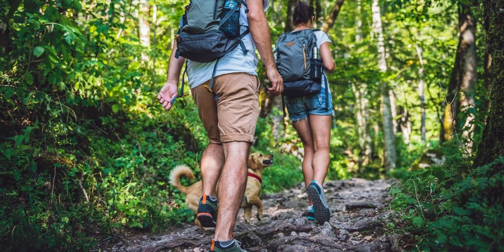 Are you looking for a reason to get out and enjoy the beautiful weather here in Houston? These Houston hiking spots you can visit with your dog will do the trick!