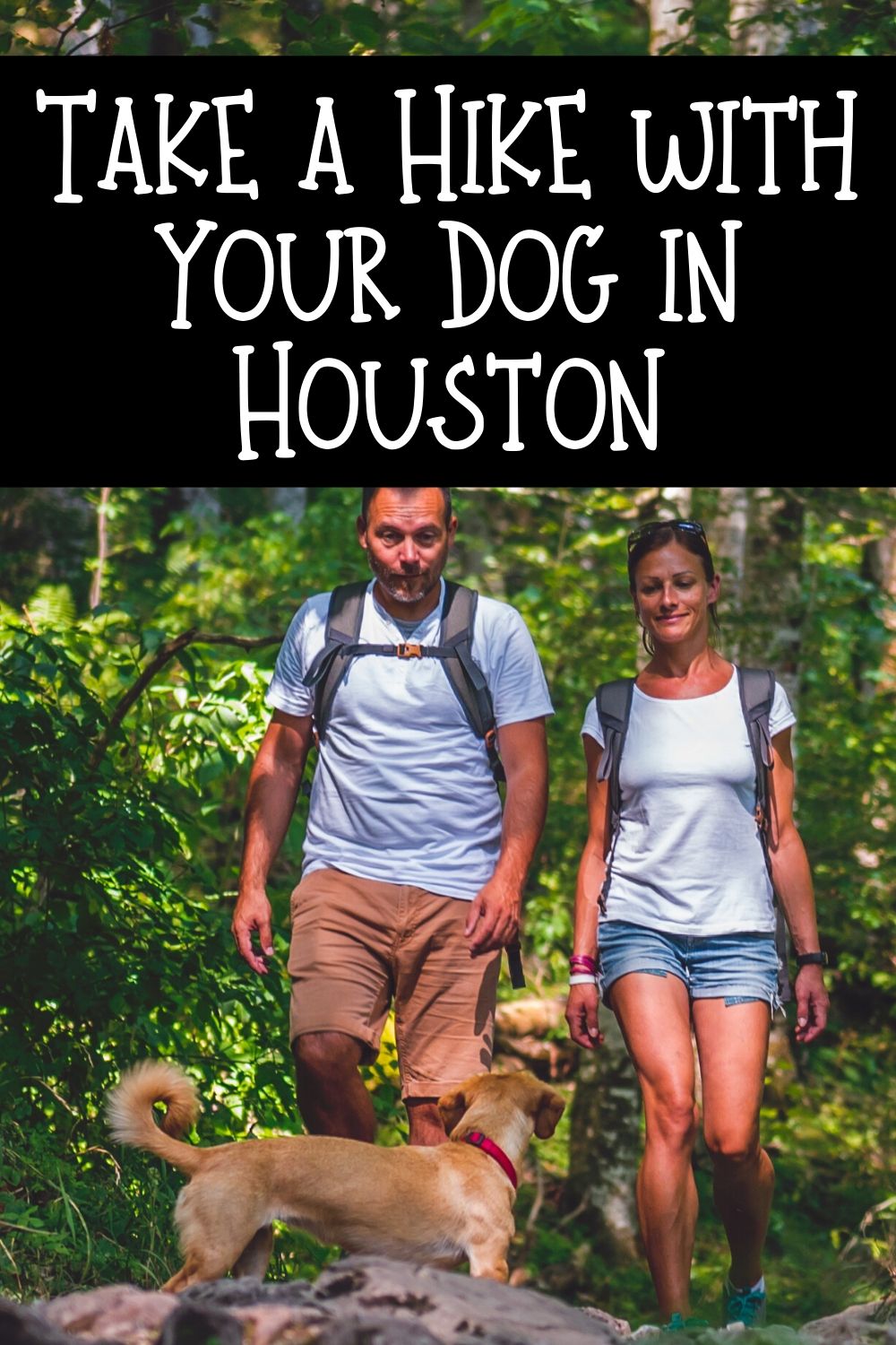 Are you looking for a reason to get out and enjoy the beautiful weather here in Houston? These Houston hiking spots you can visit with your dog will do the trick!