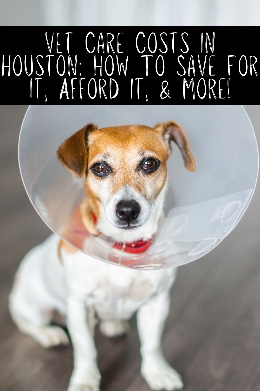 Vet care costs in Houston don't have to be overwhelming. There are ways to prepare for vet care costs and we're going to walk you through it today! Also check out some of the great Houston veterinarian choices below for all of your pet care needs.